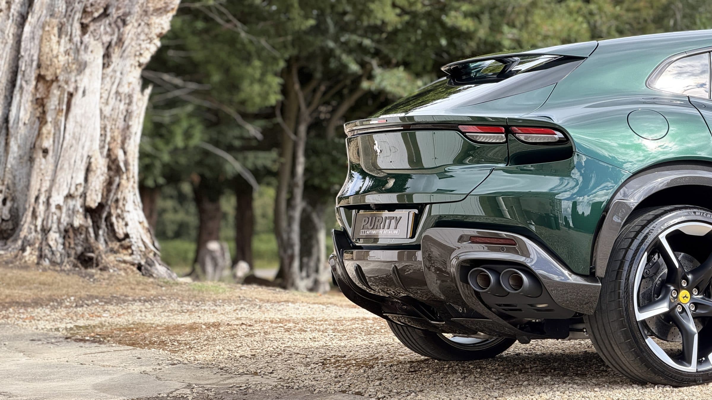 Rear of a dark green Ferrari Purosangue beneath parkland trees